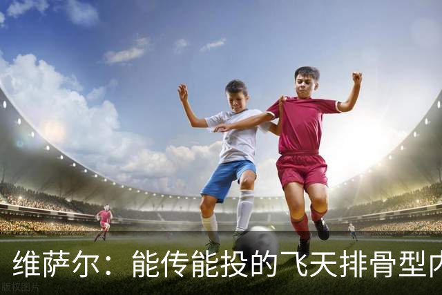 维萨尔：能传能投的飞天排骨型内线 需要大个子的球队不容错过